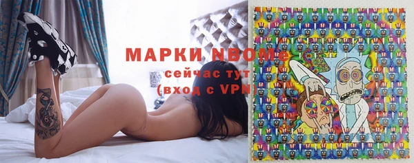 ECSTASY Алзамай