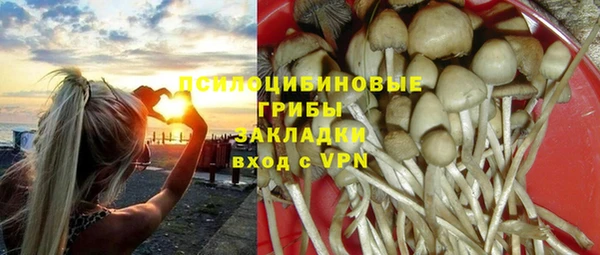 крисы Алексин