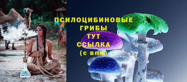 ECSTASY Алзамай