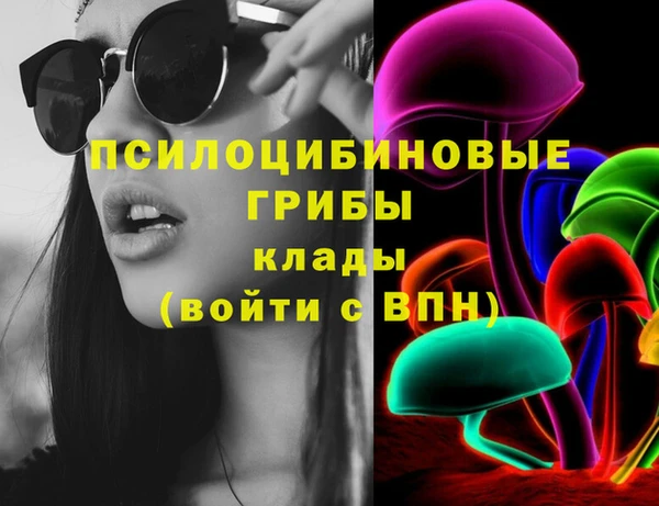 твердый Алексеевка