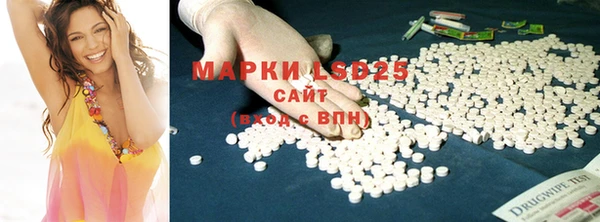 ECSTASY Алзамай