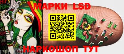 амф Кудрово
