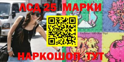 амф Кудрово