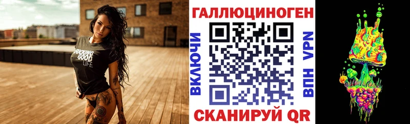 где купить наркоту Волхов Псилоцибиновые грибы Magic Shrooms