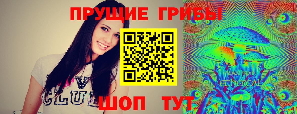 Волхов  сколько стоит  Вход с VPN  Псилоцибиновые грибы мицелий 