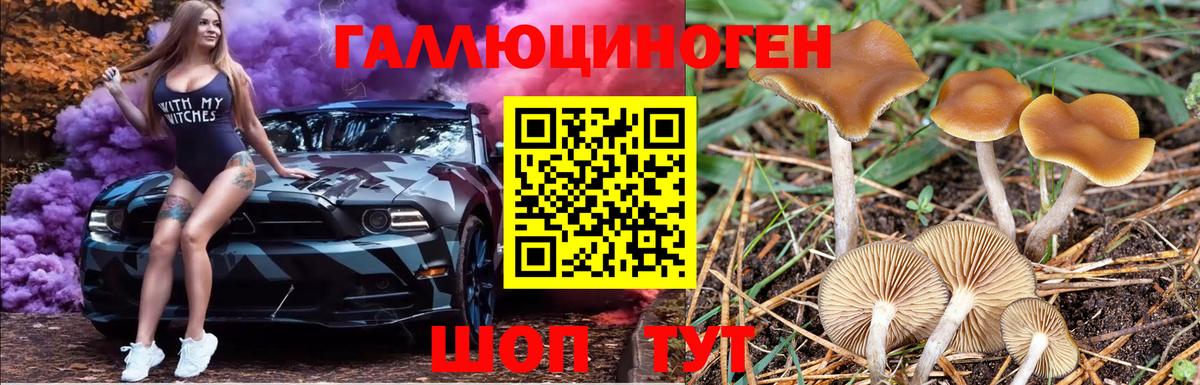 Псилоцибиновые грибы Magic Shrooms Волхов