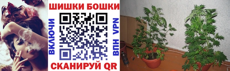 Бошки Шишки THC 21%  Волхов 